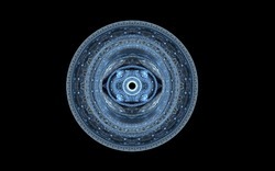 2014 04 28 blues 41-black.jpg